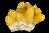 Sunshine Cactus Quartz Crystal Cluster - South Africa #132895-1